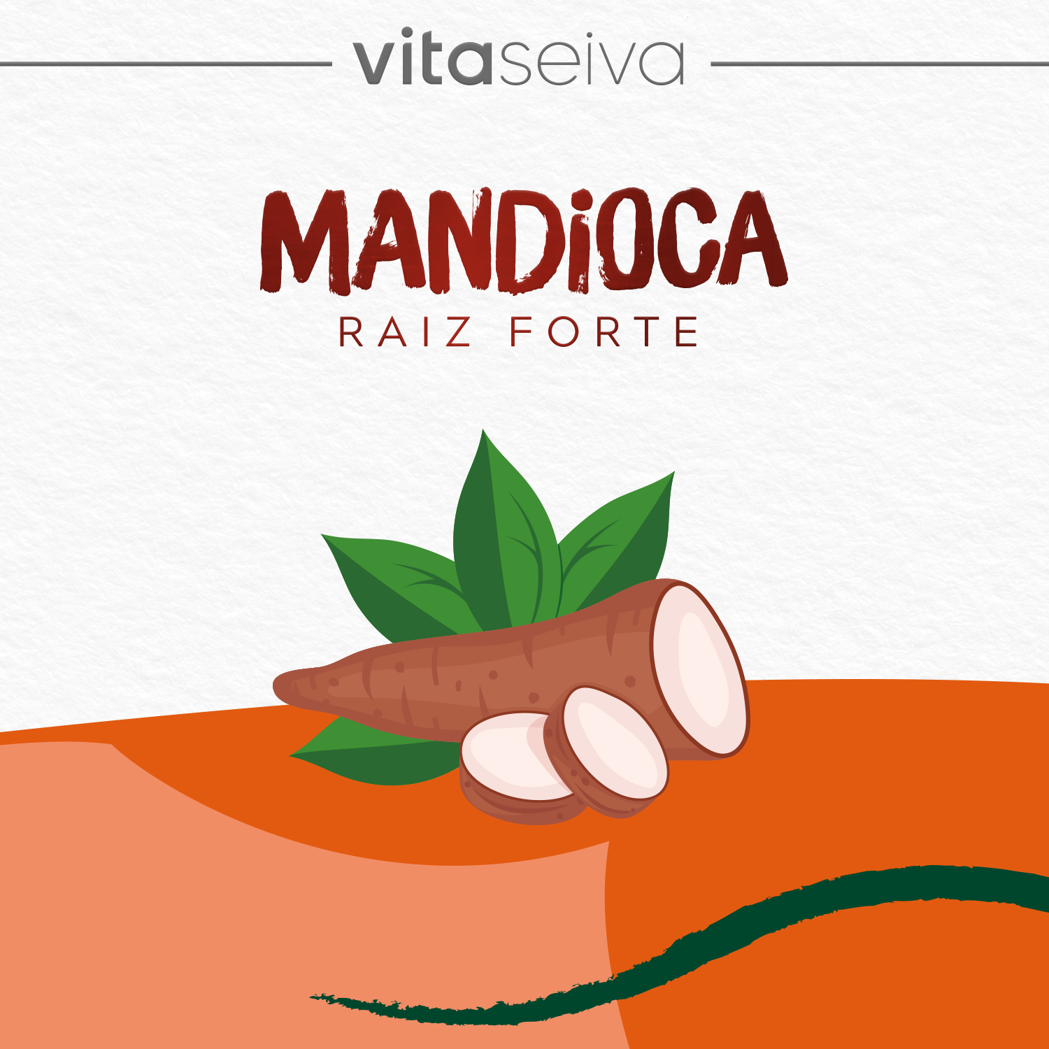 Máscara Vita Seiva Mandioca Raiz Forte 450g Fortalecimento