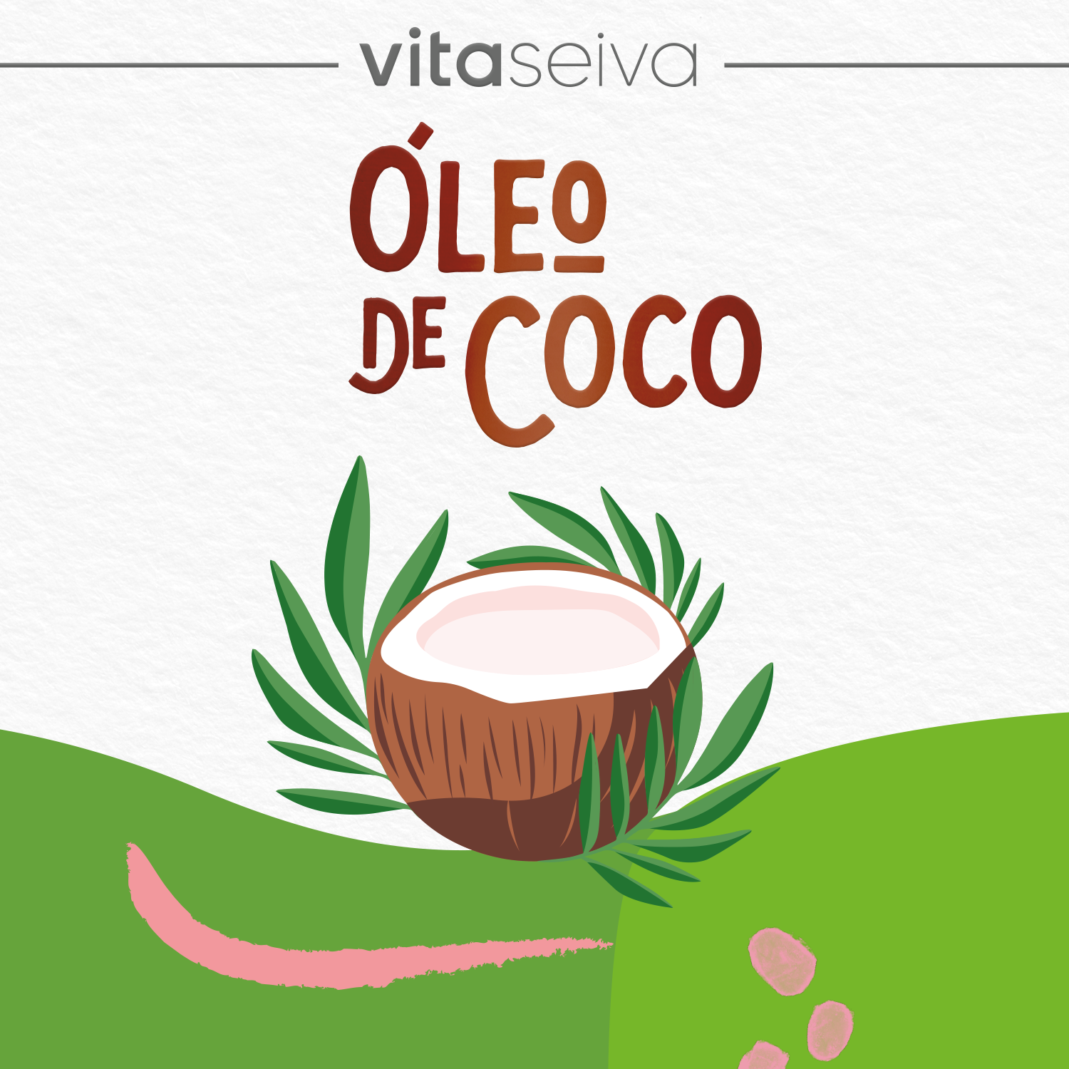 Manteiguinha Vita Seiva Óleo de Coco 250g Hidratação