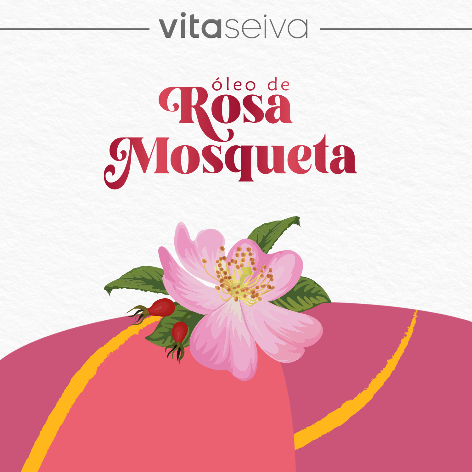 Óleo de Rosa Mosqueta Vita Seiva 30ml