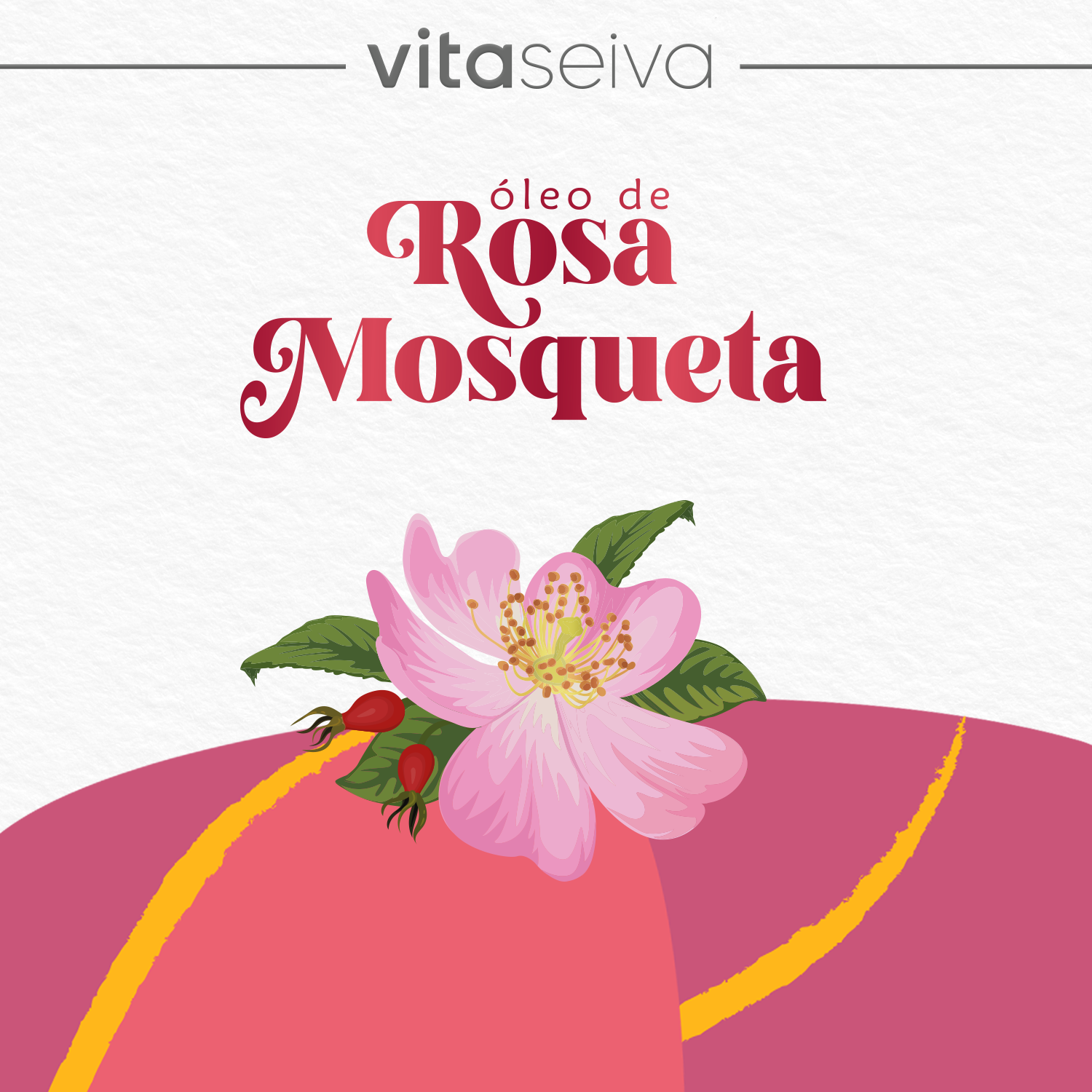 Bálsamo Vita Seiva Óleo de Rosa Mosqueta 250g